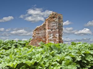 Nature, ruin, ruined wall, plants, leaves, Nature, ruin, ruined wall, plants, leaves,